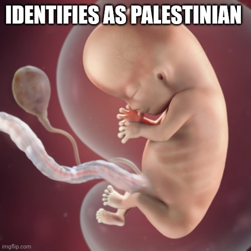 10 Week Fetus | IDENTIFIES AS PALESTINIAN | image tagged in 10 week fetus | made w/ Imgflip meme maker