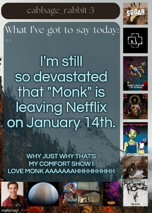 Shouting into the void of random internet people. | I'm still so devastated that "Monk" is leaving Netflix on January 14th. WHY JUST WHY THAT'S MY COMFORT SHOW I LOVE MONK AAAAAAAHHHHHHHHH | image tagged in cabbage_rabbit | made w/ Imgflip meme maker