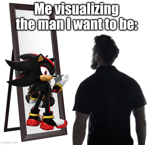 I'm need to be more like SHADOW | Me visualizing the man I want to be: | image tagged in dalek in the mirror,shadow the hedgehog,shadow,sonic 3,sonic,so true | made w/ Imgflip meme maker