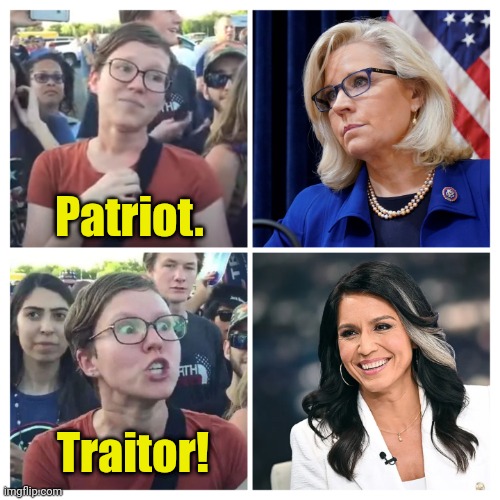 Libtard Logic 101: When you put Country ahead of Party | Patriot. Traitor! | made w/ Imgflip meme maker