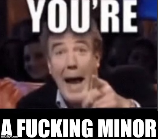You're X (Blank) | A FUCKING MINOR | image tagged in you're x blank | made w/ Imgflip meme maker