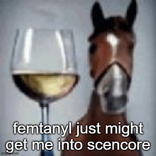 wine horse | femtanyl just might get me into scencore | image tagged in wine horse | made w/ Imgflip meme maker