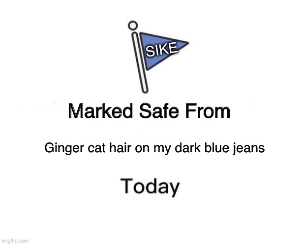 Marked Safe From | SIKE; Ginger cat hair on my dark blue jeans | image tagged in memes,marked safe from | made w/ Imgflip meme maker