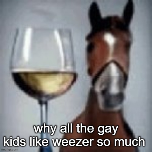 wine horse | why all the gay kids like weezer so much | image tagged in wine horse | made w/ Imgflip meme maker