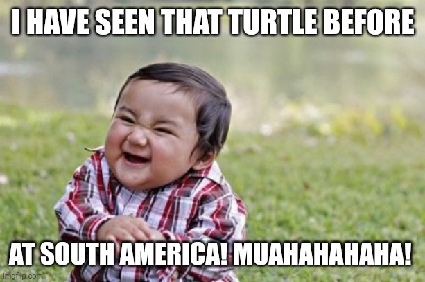 Evil Toddler Meme | I HAVE SEEN THAT TURTLE BEFORE AT SOUTH AMERICA! MUAHAHAHAHA! | image tagged in memes,evil toddler | made w/ Imgflip meme maker