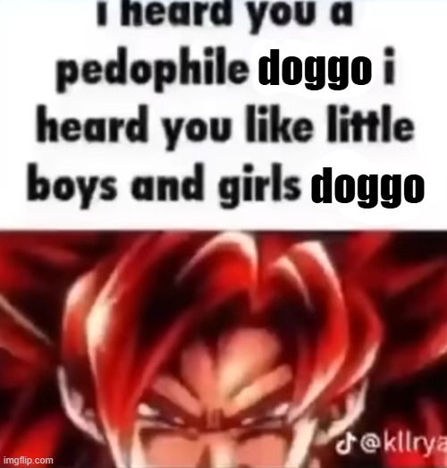 I Heard You a Pedophile | doggo; doggo | image tagged in i heard you a pedophile | made w/ Imgflip meme maker
