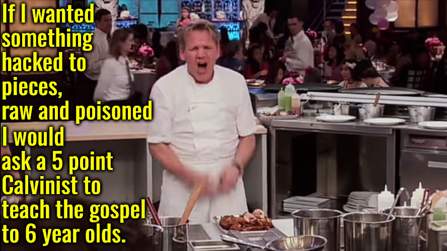 Hacked up, Raw And Poisoned | If I wanted something hacked to pieces, raw and poisoned; I would ask a 5 point Calvinist to teach the gospel to 6 year olds. | image tagged in gordon ramsay,calvinism,arminian,molinism,hacked up raw and poisoned,what a nightmare | made w/ Imgflip meme maker