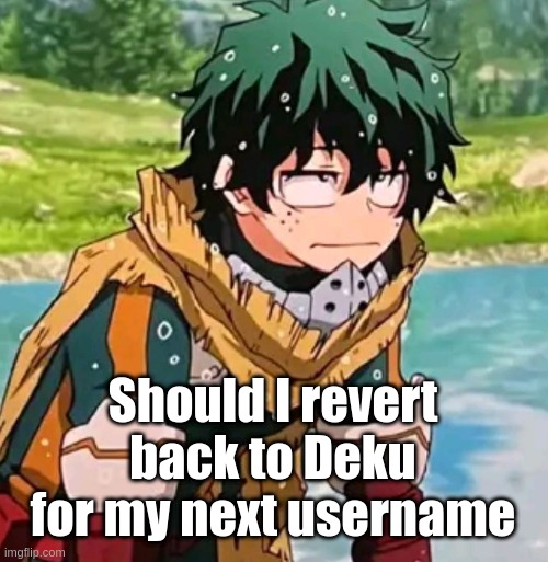 Deku | Should I revert back to Deku for my next username | image tagged in deku | made w/ Imgflip meme maker