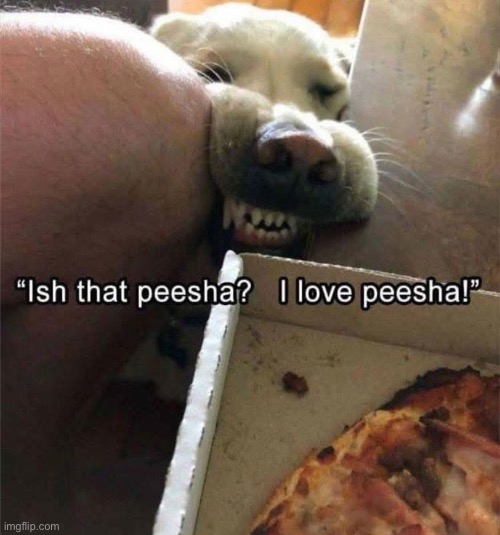 Give him the peesha | made w/ Imgflip meme maker