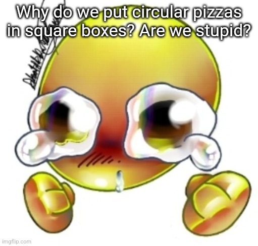 Ggghhhhhghghghhhgh | Why do we put circular pizzas in square boxes? Are we stupid? | image tagged in ggghhhhhghghghhhgh | made w/ Imgflip meme maker