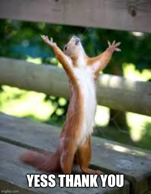 Praise Squirrel | YESS THANK YOU | image tagged in praise squirrel | made w/ Imgflip meme maker