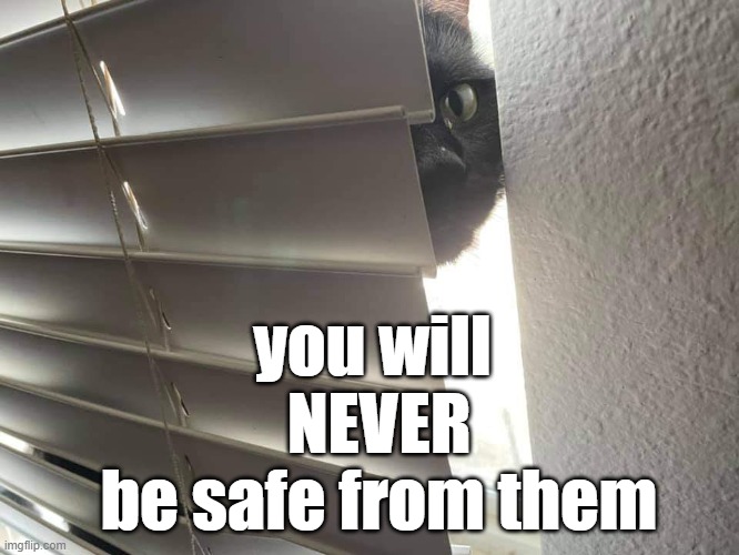 Lurker | you will 
NEVER
be safe from them | image tagged in lurker | made w/ Imgflip meme maker