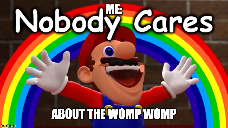 Nobody Cares | ME: ABOUT THE WOMP WOMP | image tagged in nobody cares | made w/ Imgflip meme maker