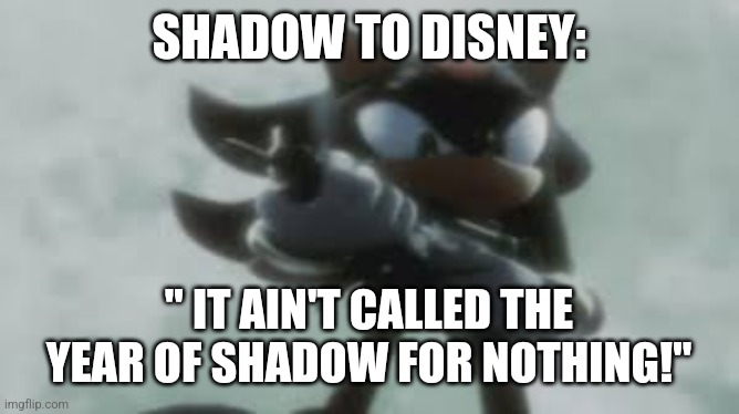 Shadow the hedgehog with a gun | SHADOW TO DISNEY: " IT AIN'T CALLED THE YEAR OF SHADOW FOR NOTHING!" | image tagged in shadow the hedgehog with a gun | made w/ Imgflip meme maker