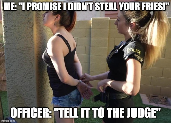 fries | ME: "I PROMISE I DIDN’T STEAL YOUR FRIES!"; OFFICER: "TELL IT TO THE JUDGE" | image tagged in memes | made w/ Imgflip meme maker