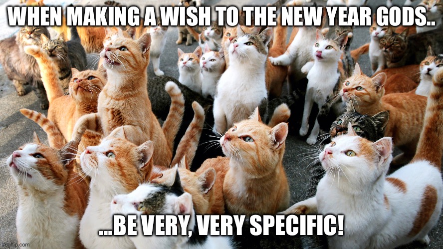 Make a wish | WHEN MAKING A WISH TO THE NEW YEAR GODS.. …BE VERY, VERY SPECIFIC! | image tagged in genie,cats | made w/ Imgflip meme maker