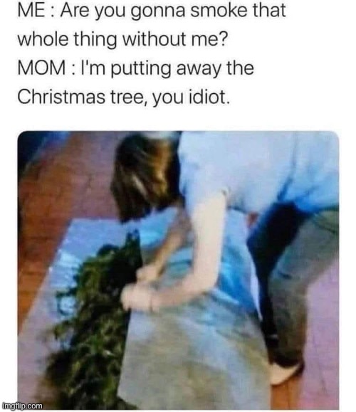 Family time | image tagged in smoke weed everyday,smoke,mom | made w/ Imgflip meme maker