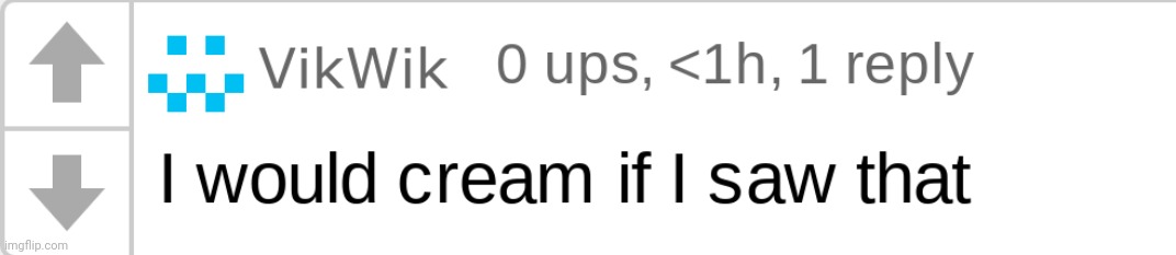 Vikboi "i would cream if i saw that" | image tagged in vikboi i would cream if i saw that | made w/ Imgflip meme maker