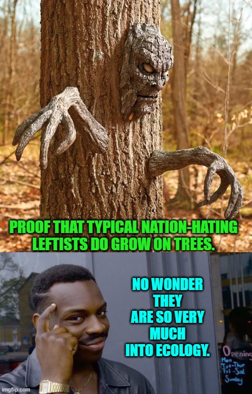 It all makes sense now. | PROOF THAT TYPICAL NATION-HATING LEFTISTS DO GROW ON TREES. NO WONDER THEY ARE SO VERY MUCH INTO ECOLOGY. | image tagged in roll safe think about it | made w/ Imgflip meme maker