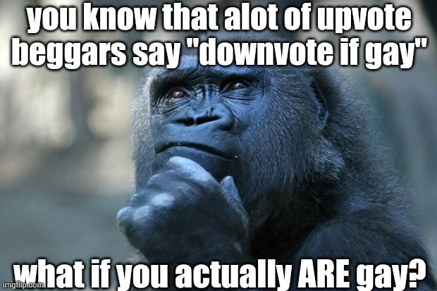 hmmm... | you know that alot of upvote beggars say "downvote if gay"; what if you actually ARE gay? | image tagged in deep thoughts,thinking monkey,what if,upvote beggars,anti upvote begging,downvote | made w/ Imgflip meme maker