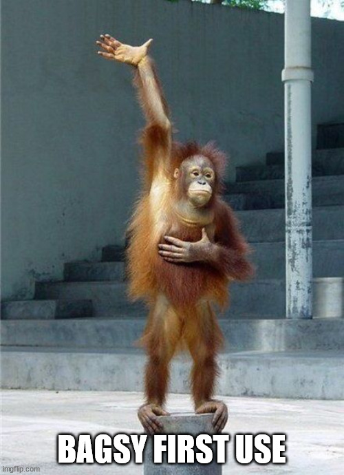 Monkey Raising Hand | BAGSY FIRST USE | image tagged in monkey raising hand | made w/ Imgflip meme maker