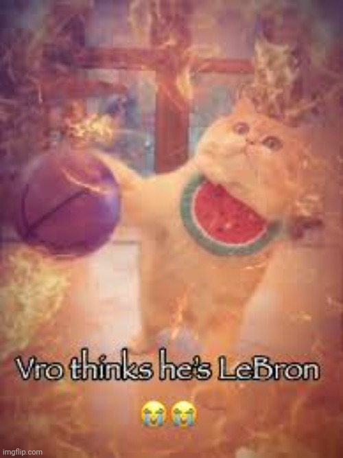 Vro thinks he's LeBron | image tagged in vro thinks he's lebron | made w/ Imgflip meme maker