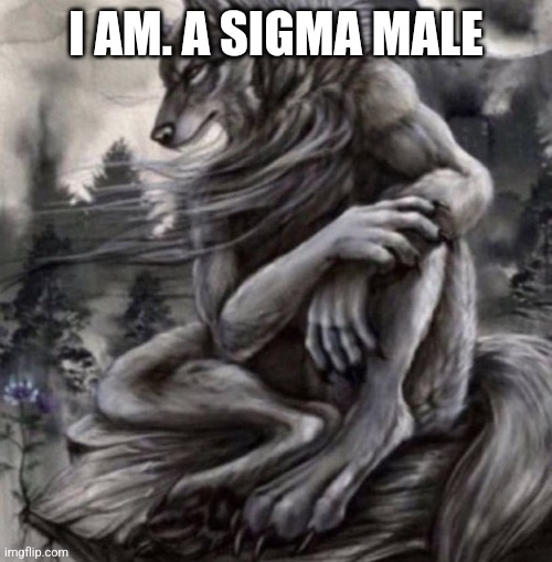 Alpha wolf | I AM. A SIGMA MALE | image tagged in alpha wolf | made w/ Imgflip meme maker