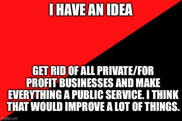 Idea | I HAVE AN IDEA; GET RID OF ALL PRIVATE/FOR PROFIT BUSINESSES AND MAKE EVERYTHING A PUBLIC SERVICE. I THINK THAT WOULD IMPROVE A LOT OF THINGS. | image tagged in ancom flag | made w/ Imgflip meme maker