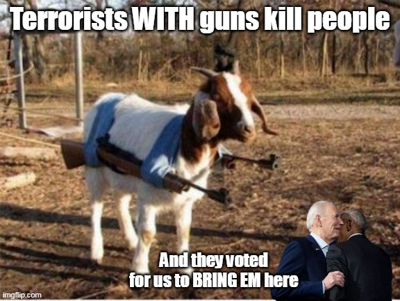 Terrorists WITH guns kill people And they voted for us to BRING EM here | made w/ Imgflip meme maker