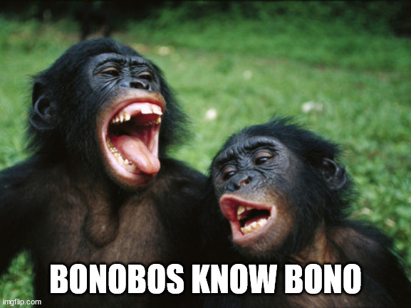 Bonobo Lyfe Meme | BONOBOS KNOW BONO | image tagged in memes,bonobo lyfe | made w/ Imgflip meme maker