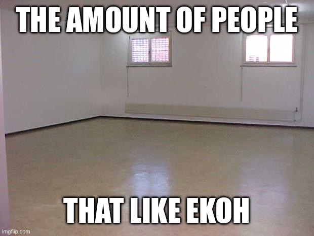 Check comments for more | THE AMOUNT OF PEOPLE; THAT LIKE EKOH | image tagged in empty room | made w/ Imgflip meme maker