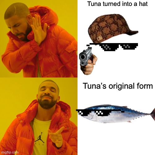 Drake Hotline Bling Meme | Tuna turned into a hat Tuna’s original form | image tagged in memes,drake hotline bling | made w/ Imgflip meme maker