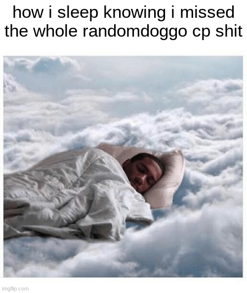 How I sleep knowing | how i sleep knowing i missed the whole randomdoggo cp shit | image tagged in how i sleep knowing | made w/ Imgflip meme maker