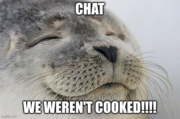 WE GOODDDDDDDD (pt 2 of my SpongeBob meme) | CHAT; WE WEREN'T COOKED!!!! | image tagged in memes,satisfied seal | made w/ Imgflip meme maker