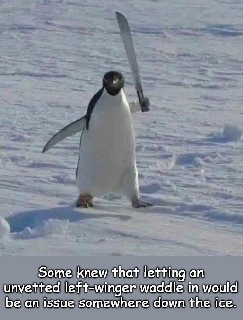 Somewhere in the cold... | Some knew that letting an unvetted left-winger waddle in would be an issue somewhere down the ice. | image tagged in memes,politics,illegals,trump | made w/ Imgflip meme maker