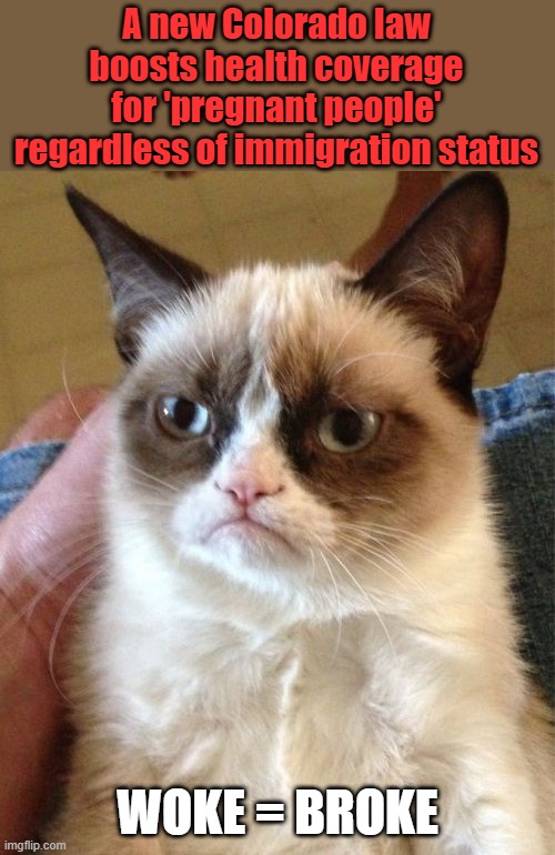 And you wonder why hes so grumpy. | A new Colorado law boosts health coverage for 'pregnant people' regardless of immigration status; WOKE = BROKE | image tagged in memes,grumpy cat | made w/ Imgflip meme maker