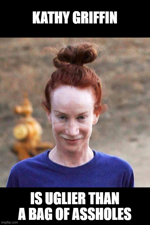 Kathy Griffin | KATHY GRIFFIN IS UGLIER THAN A BAG OF ASSHOLES | image tagged in kathy griffin | made w/ Imgflip meme maker