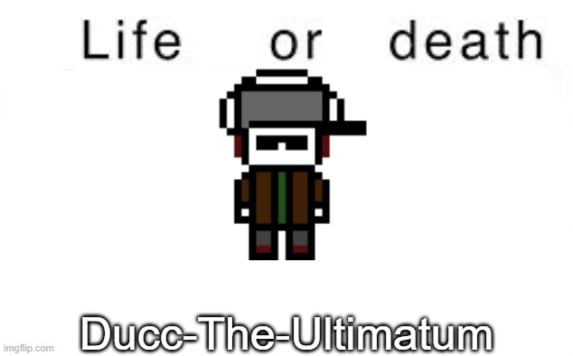 Life or death | Ducc-The-Ultimatum | image tagged in life or death,msmg,memes | made w/ Imgflip meme maker