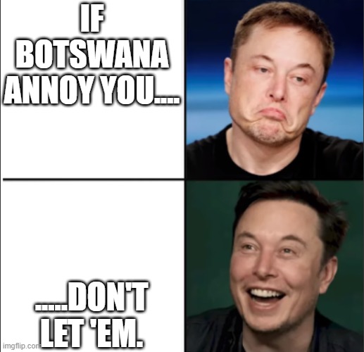 Elon approves | IF BOTSWANA ANNOY YOU.... .....DON'T LET 'EM. | image tagged in elon approves | made w/ Imgflip meme maker