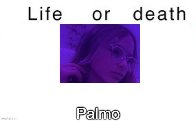 Life or death | Palmo | image tagged in life or death,msmg,memes | made w/ Imgflip meme maker