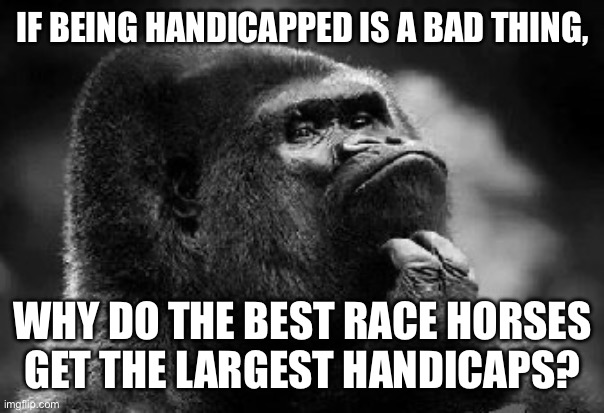 thinking monkey | IF BEING HANDICAPPED IS A BAD THING, WHY DO THE BEST RACE HORSES GET THE LARGEST HANDICAPS? | image tagged in thinking monkey | made w/ Imgflip meme maker