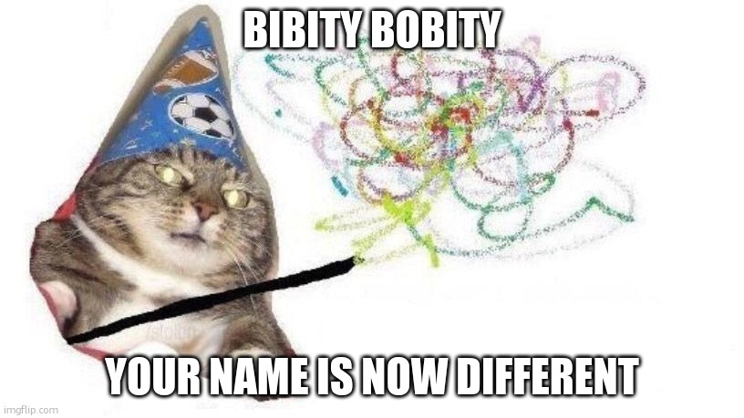 @Tidal. | BIBITY BOBITY; YOUR NAME IS NOW DIFFERENT | image tagged in wizard cat | made w/ Imgflip meme maker