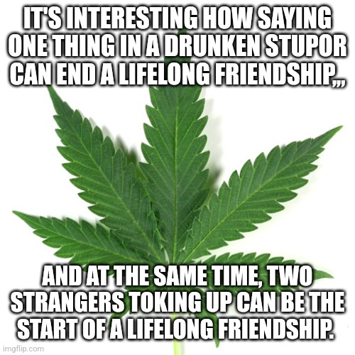 Marijuana leaf | IT'S INTERESTING HOW SAYING ONE THING IN A DRUNKEN STUPOR CAN END A LIFELONG FRIENDSHIP,,, AND AT THE SAME TIME, TWO STRANGERS TOKING UP CAN BE THE START OF A LIFELONG FRIENDSHIP. | image tagged in marijuana leaf | made w/ Imgflip meme maker