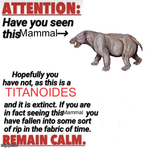 Titanoides | Mammal; TITANOIDES; Mammal | image tagged in attention have you seen this name | made w/ Imgflip meme maker