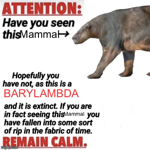 Barylambda | Mammal; BARYLAMBDA; Mammal | image tagged in attention have you seen this name | made w/ Imgflip meme maker