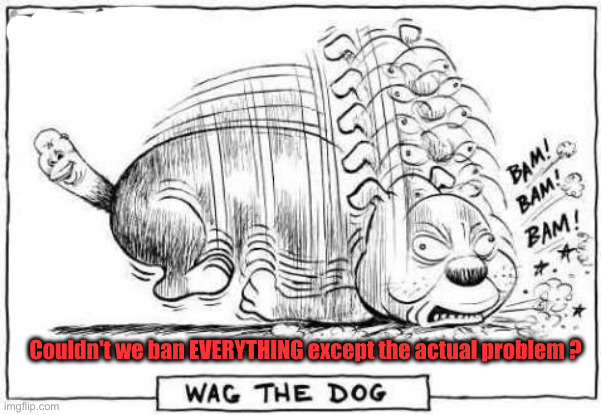 Tail wags dog | Couldn't we ban EVERYTHING except the actual problem ? | image tagged in tail wags dog | made w/ Imgflip meme maker