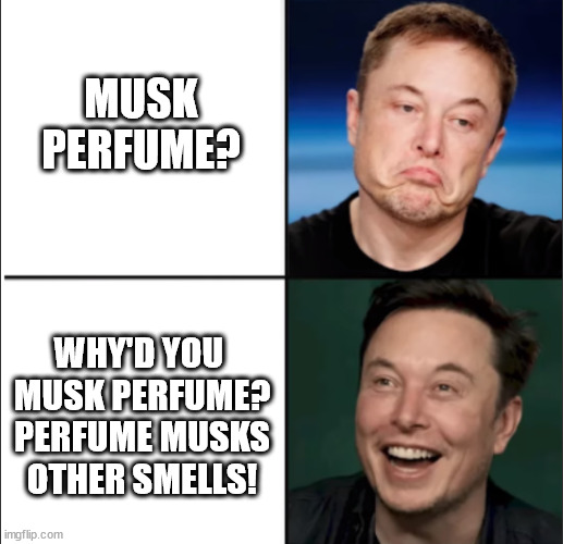 elon must approves: pun fool variant | MUSK PERFUME? WHY'D YOU 
MUSK PERFUME?
 PERFUME MUSKS 
OTHER SMELLS! | image tagged in elon approves | made w/ Imgflip meme maker