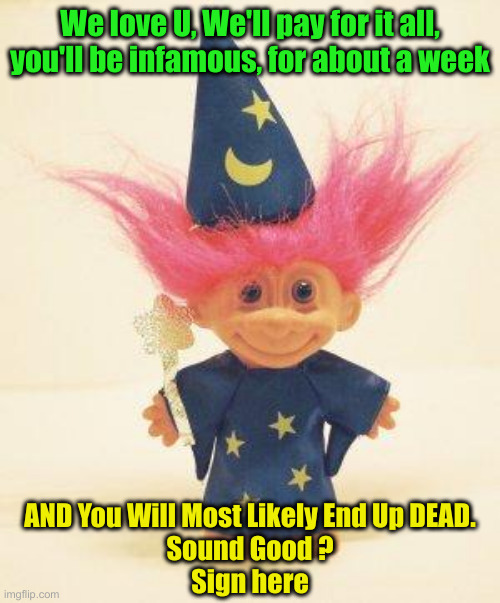 Troll Doll Wizard | We love U, We'll pay for it all, you'll be infamous, for about a week AND You Will Most Likely End Up DEAD.
Sound Good ?
Sign here | image tagged in troll doll wizard | made w/ Imgflip meme maker