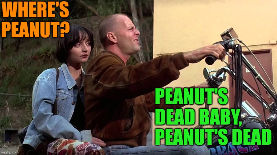 Zed’s Dead, Baby | WHERE'S PEANUT? PEANUT'S DEAD BABY, PEANUT'S DEAD | image tagged in zed s dead baby | made w/ Imgflip meme maker