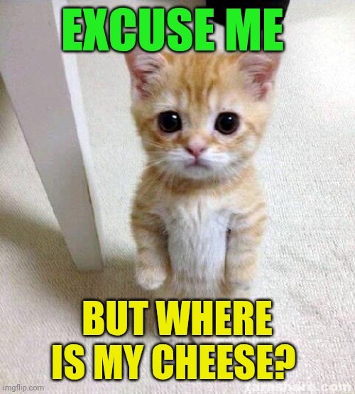 Cheese | EXCUSE ME; BUT WHERE IS MY CHEESE? | image tagged in memes,cute cat | made w/ Imgflip meme maker